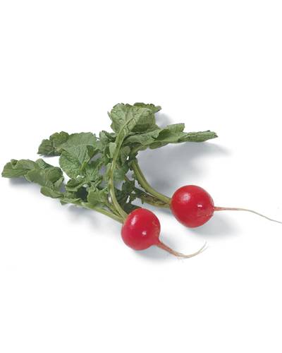 Don't Throw Out Those Radish Leaves!