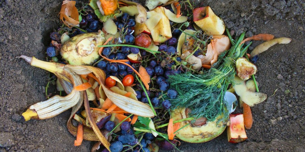 Domestic waste for compost from fruits and vegetables in garden.