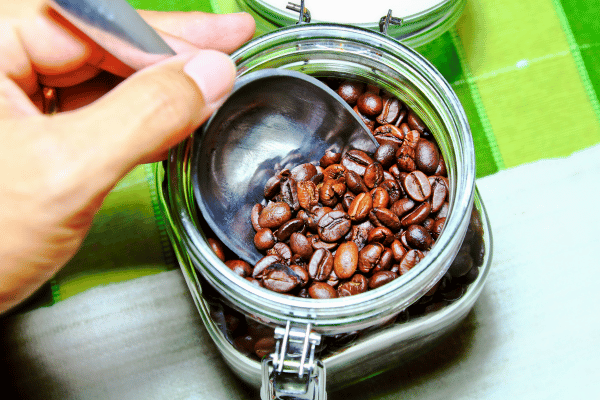 The Best Coffee Containers of 2023 - Cuisine at Home Reviews