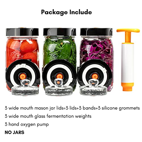 JILLMO Fermentation Kit