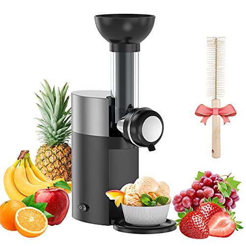 Frozen Fruit Soft Serve Ice Cream Maker