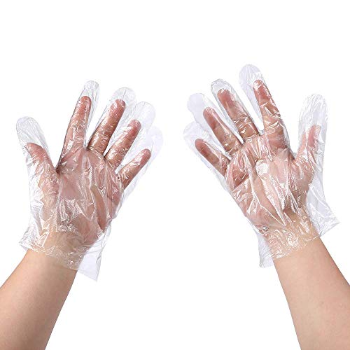 Brandon-super Disposable Food Service Gloves