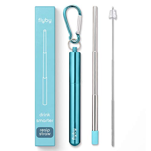 Flyby Reusable Straw with Case