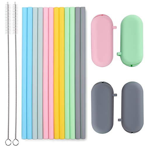 Sunseeke Reusable Straw with Case
